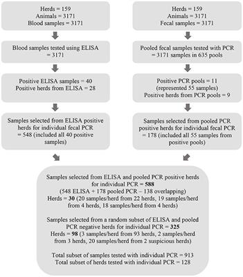 Estimating the sensitivity and specificity of serum ELISA and pooled and individual fecal PCR for detecting Mycobacterium avium subspecies paratuberculosis in Canadian cow-calf herds using Bayesian latent class models